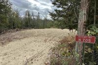 Undeveloped Land for sale in Alger County, Michigan