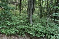 Undeveloped Land for sale in Rabun County, Georgia