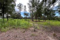 Property for sale in Marion County, Florida