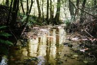 Property for sale in Franklin County, Georgia