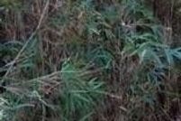 Property for sale in Suffolk City County, Virginia