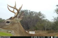 Property for sale in Jackson County, Texas