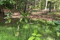 Property for sale in Cambria County, Pennsylvania