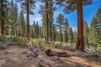 Undeveloped Land for sale in Placer County, California
