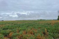 Property for sale in Greene County, Indiana