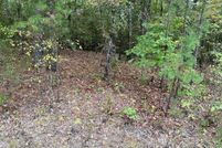 Undeveloped Land for sale in Saline County, Arkansas