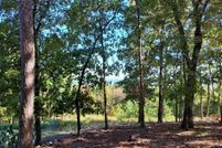 Undeveloped Land for sale in Saline County, Arkansas