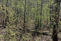 Property for sale in Saint Clair County, Alabama