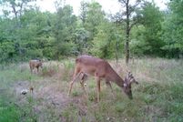 Property for sale in Navarro County, Texas