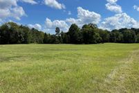 Undeveloped Land for sale in Cass County, Texas