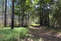 Undeveloped Land for sale in Walthall County, Mississippi