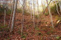 Property for sale in Madison County, North Carolina