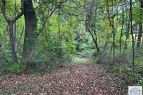 Property for sale in Patrick County, Virginia