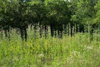 Property for sale in Clinton County, Pennsylvania