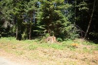 Property for sale in Del Norte County, California