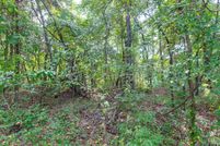 Undeveloped Land for sale in Smith County, Texas