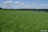 Undeveloped Land for sale in Saint Clair County, Michigan