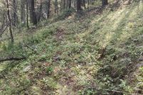 Undeveloped Land for sale in Granite County, Montana