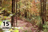 Undeveloped Land for sale in Caledonia County, Vermont