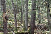 Undeveloped Land for sale in Grafton County, New Hampshire