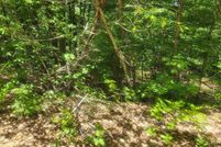 Property for sale in Sharp County, Arkansas