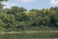 Property for sale in Tippecanoe County, Indiana