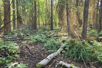 Property for sale in Flathead County, Montana