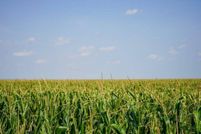 Property for sale in Grant County, Kansas