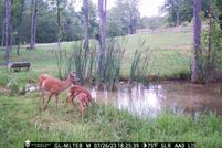 Property for sale in Pulaski County, Kentucky