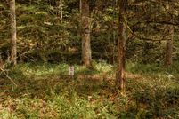 Property for sale in Wolfe County, Kentucky