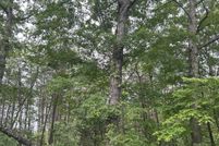 Undeveloped Land for sale in Whitley County, Kentucky