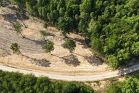 Property for sale in Whitley County, Kentucky