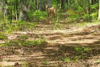 Property for sale in Powell County, Kentucky