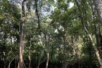 Property for sale in Boone County, Kentucky