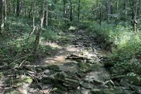 Property for sale in Harrison County, Kentucky