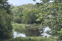 Property for sale in Nicholas County, Kentucky