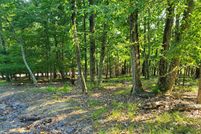 Undeveloped Land for sale in Hawkins County, Tennessee