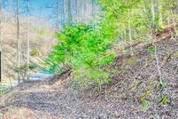 Undeveloped Land for sale in  , Tennessee