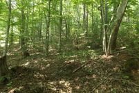 Property for sale in Carter County, Tennessee