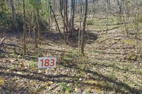 Undeveloped Land for sale in Unicoi County, Tennessee