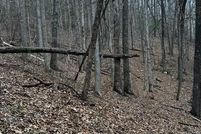 Undeveloped Land for sale in Johnson County, Tennessee