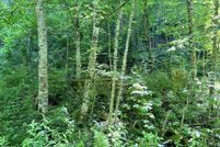 Property for sale in Wise County, Virginia