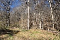 Undeveloped Land for sale in Smyth County, Virginia