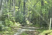 Property for sale in Carter County, Tennessee