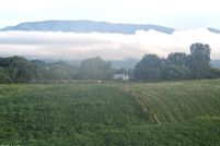 Property for sale in Greene County, Tennessee