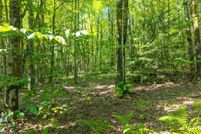 Undeveloped Land for sale in Otsego County, New York