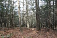 Undeveloped Land for sale in Greene County, New York