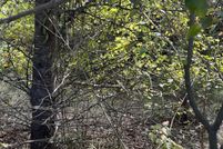 Property for sale in Shelby County, Alabama