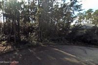 Undeveloped Land for sale in Flagler County, Florida