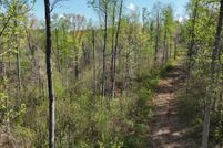 Undeveloped Land for sale in McMinn County, Tennessee